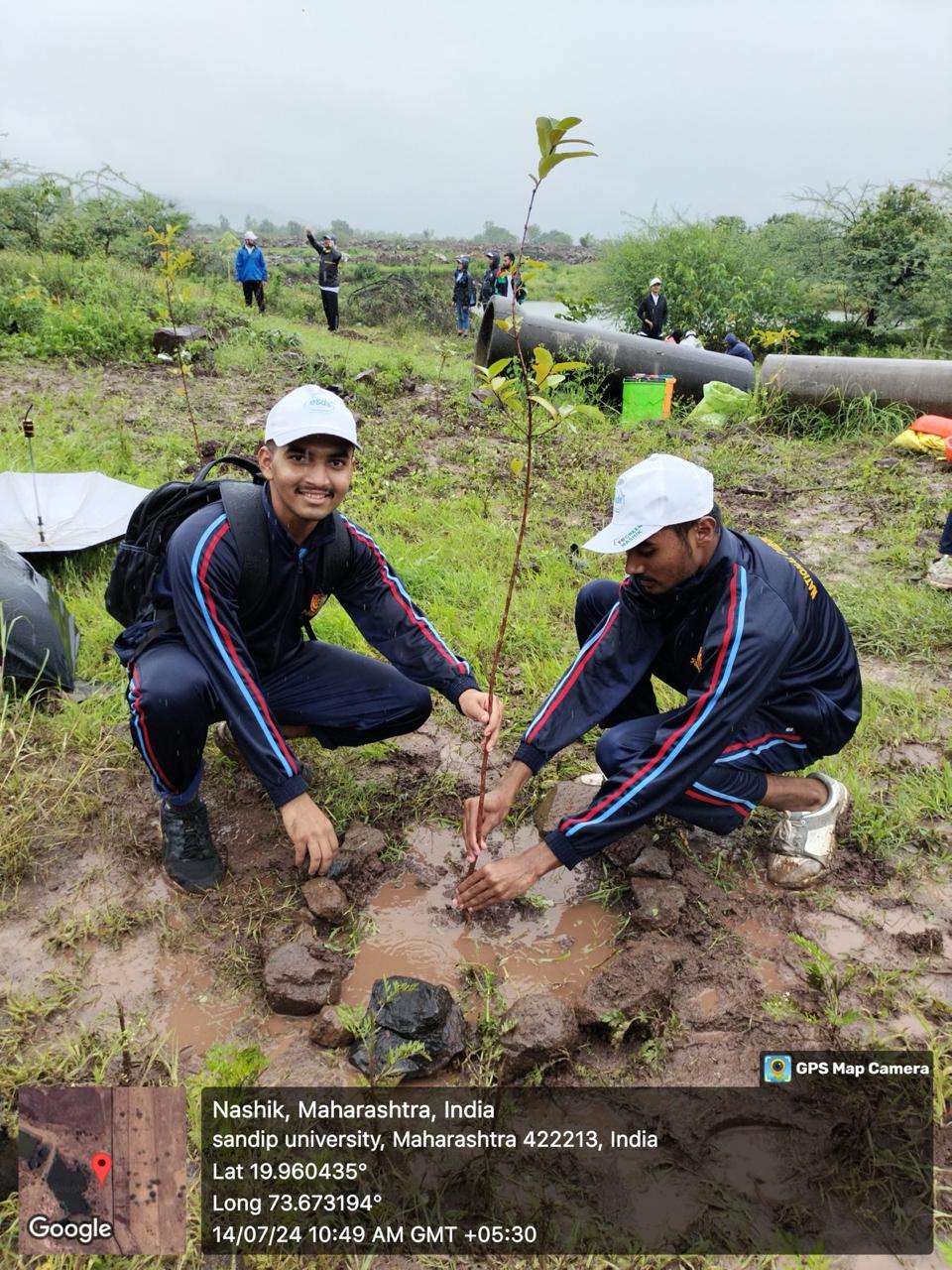 Tree Plantation 2